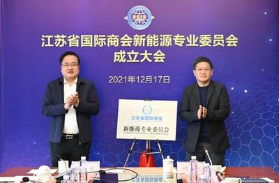江蘇省國際商會新能源專業委員會掛牌成立